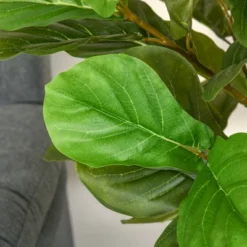 HOMCOM 5FT Artificial Fiddle Leaf Fig Tree, Faux Decorative Plant In Nursery Pot For Indoor Or Outdoor Décor -Homcom GUEST 3142cda3 86d1 4436 8dad 9741a107ffa0